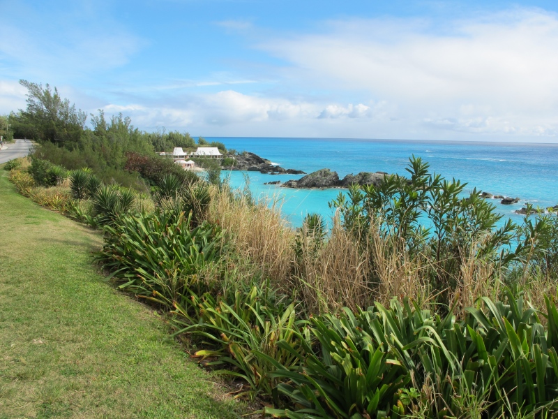 Day5 - 67 walk back to the hotel 19-Jan-2010